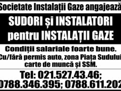 Instalatori si sudori instalatii gaze